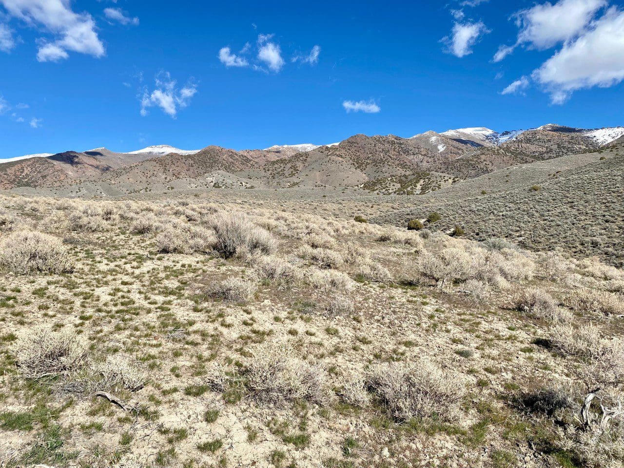 7.33 ACRES IN BEAUTIFUL HUMBOLDT RIVER RANCH CUL-DE-SAC LOT BACKS HUMBOLDT RANGE & BLM 5* photo 10