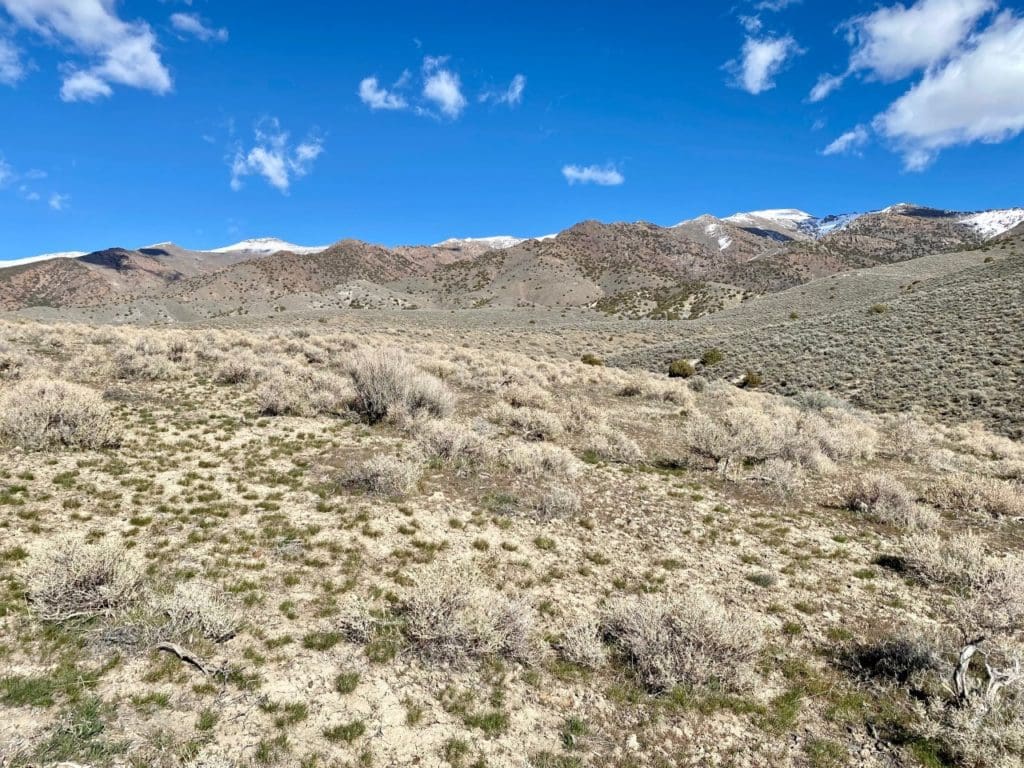 Large view of 7.33 ACRES IN BEAUTIFUL HUMBOLDT RIVER RANCH CUL-DE-SAC LOT BACKS HUMBOLDT RANGE & BLM 5* Photo 32