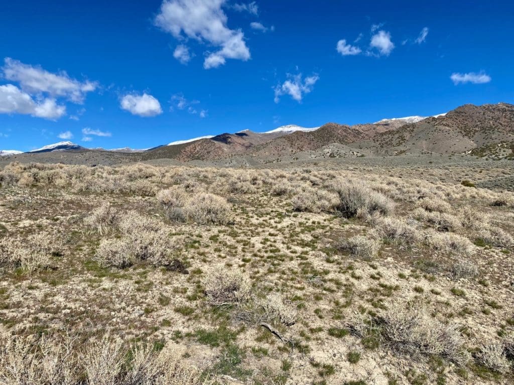 Large view of 7.33 ACRES IN BEAUTIFUL HUMBOLDT RIVER RANCH CUL-DE-SAC LOT BACKS HUMBOLDT RANGE & BLM 5* Photo 31