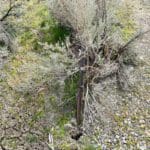 Thumbnail of 3.110 Acres ~ Beautiful Ranchette near Winnemucca and Partially Fenced Photo 42