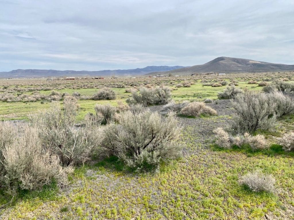 Large view of 3.110 Acres ~ Beautiful Ranchette near Winnemucca and Partially Fenced Photo 40