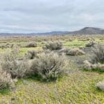 Thumbnail of 3.110 Acres ~ Beautiful Ranchette near Winnemucca and Partially Fenced Photo 40