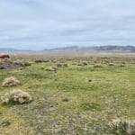 Thumbnail of 3.110 Acres ~ Beautiful Ranchette near Winnemucca and Partially Fenced Photo 37