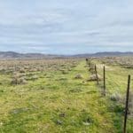 Thumbnail of 3.110 Acres ~ Beautiful Ranchette near Winnemucca and Partially Fenced Photo 35