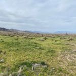 Thumbnail of 3.110 Acres ~ Beautiful Ranchette near Winnemucca and Partially Fenced Photo 32
