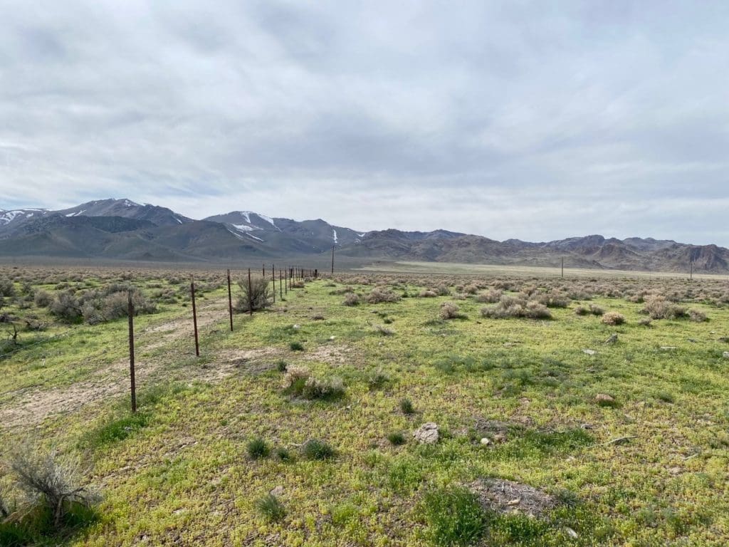 Large view of 3.110 Acres ~ Beautiful Ranchette near Winnemucca and Partially Fenced Photo 51