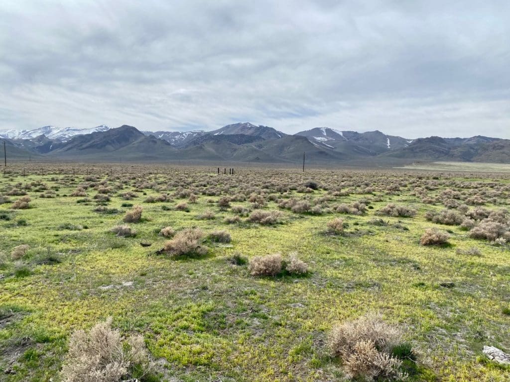 Large view of 3.110 Acres ~ Beautiful Ranchette near Winnemucca and Partially Fenced Photo 52