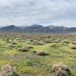 Thumbnail of 3.110 Acres ~ Beautiful Ranchette near Winnemucca and Partially Fenced Photo 52