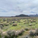 Thumbnail of 3.110 Acres ~ Beautiful Ranchette near Winnemucca and Partially Fenced Photo 48