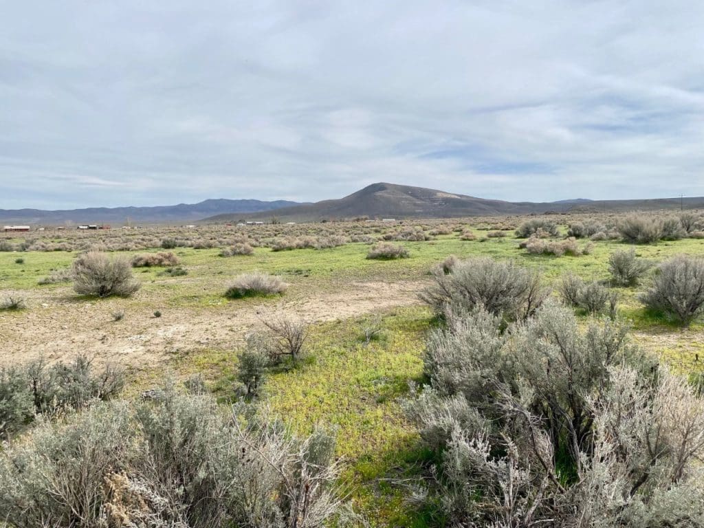 Large view of 3.110 Acres ~ Beautiful Ranchette near Winnemucca and Partially Fenced Photo 44