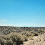 Thumbnail of 40.00 ACRES IN BEAUTIFUL COSTILLA COUNTY, COLORADO WITH WIDE OPEN SPACES, BIG GAME AND AWESOME MT. BLANCA VIEWS! Photo 7