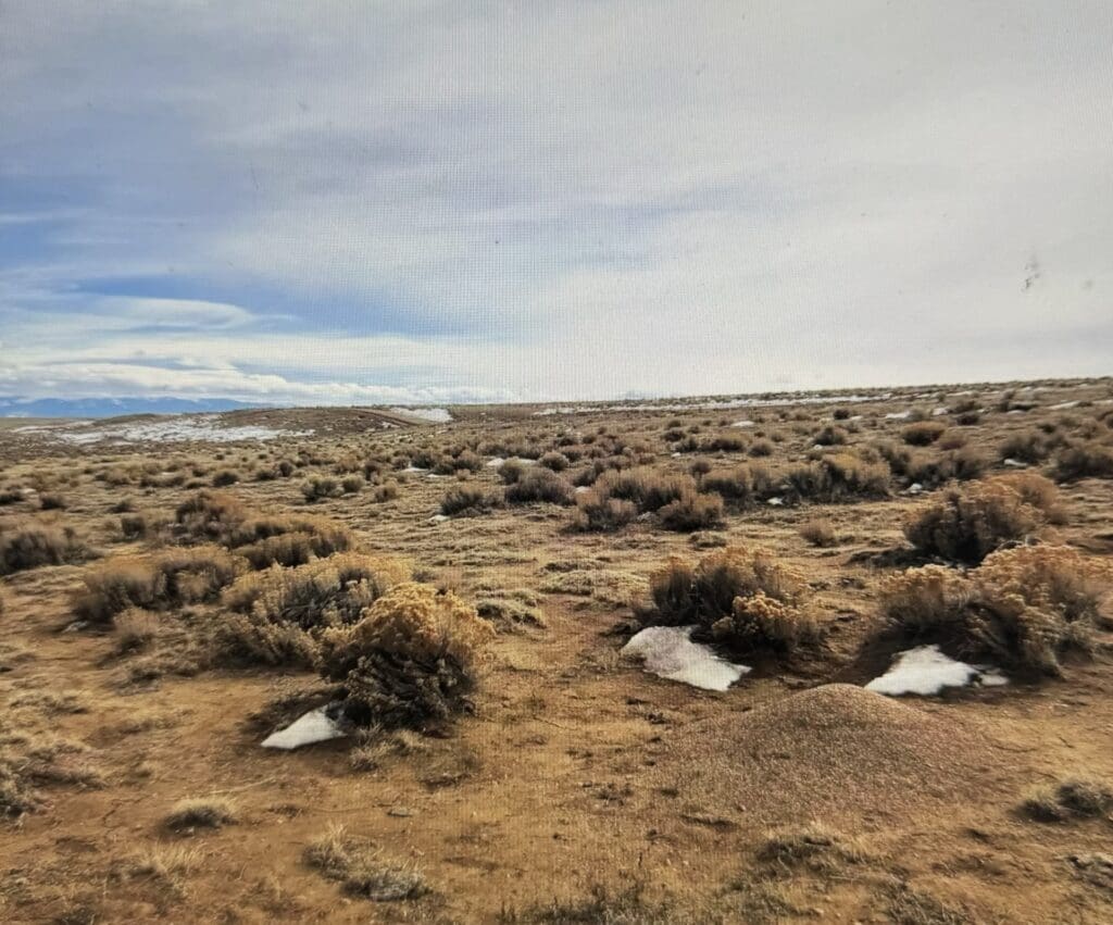 Large view of 40.00 ACRES IN BEAUTIFUL COSTILLA COUNTY, COLORADO WITH WIDE OPEN SPACES, BIG GAME AND AWESOME MT. BLANCA VIEWS! Photo 2