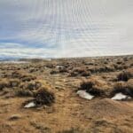 Thumbnail of 40.00 ACRES IN BEAUTIFUL COSTILLA COUNTY, COLORADO WITH WIDE OPEN SPACES, BIG GAME AND AWESOME MT. BLANCA VIEWS! Photo 2