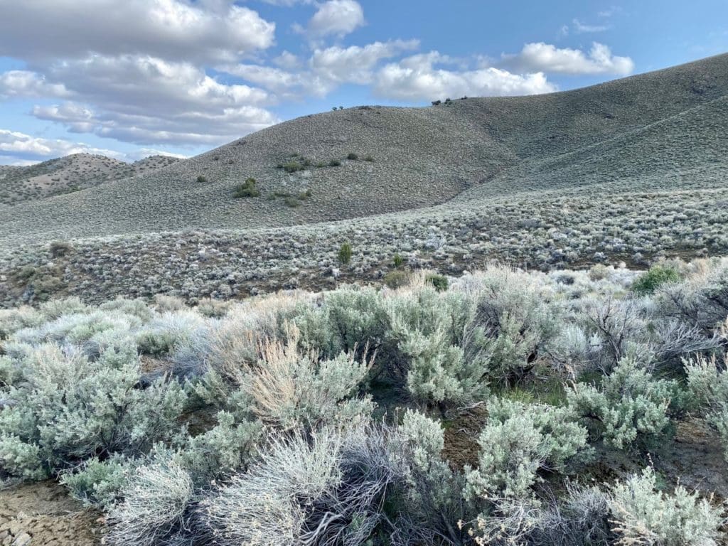 Large view of 15.84 Acres in GOLD NOTE CANYON, HIDDEN TREASURE #1, SUR 2097 – A PATENTED MINING CLAIM -PAST PRODUCER OF GOLD, SILVER & ZINC Photo 36