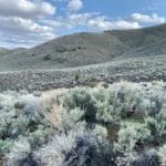 Thumbnail of 15.84 Acres in GOLD NOTE CANYON, HIDDEN TREASURE #1, SUR 2097 – A PATENTED MINING CLAIM -PAST PRODUCER OF GOLD, SILVER & ZINC Photo 36