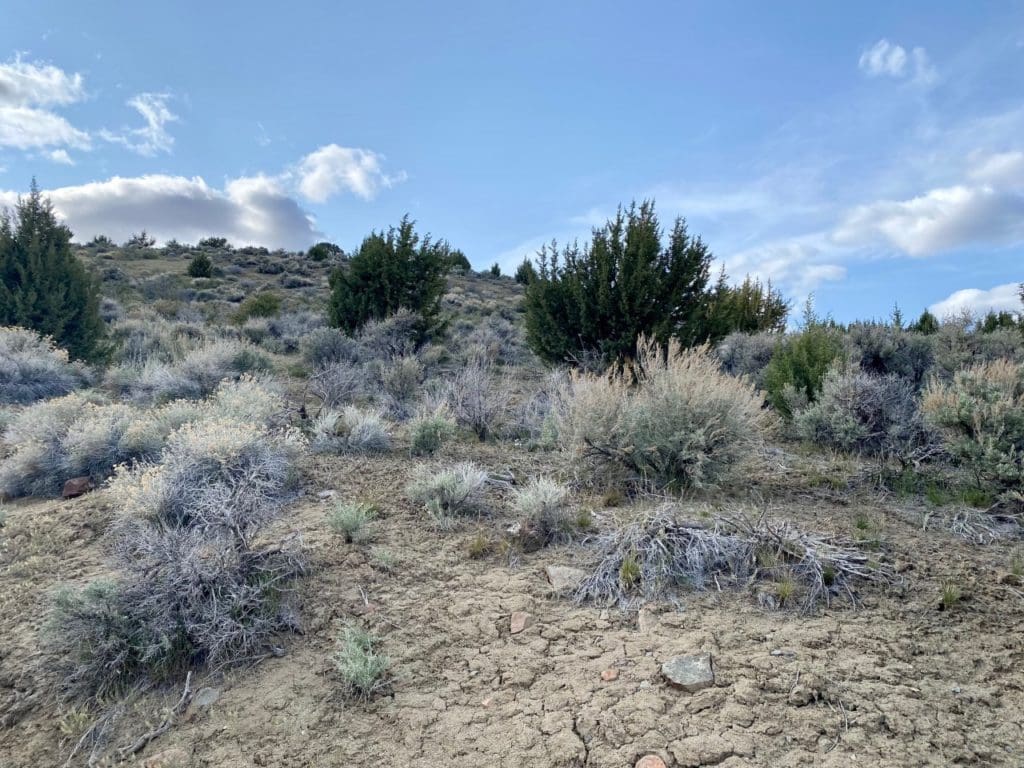 Large view of 15.84 Acres in GOLD NOTE CANYON, HIDDEN TREASURE #1, SUR 2097 – A PATENTED MINING CLAIM -PAST PRODUCER OF GOLD, SILVER & ZINC Photo 2