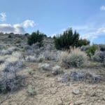 Thumbnail of 15.84 Acres in GOLD NOTE CANYON, HIDDEN TREASURE #1, SUR 2097 – A PATENTED MINING CLAIM -PAST PRODUCER OF GOLD, SILVER & ZINC Photo 2