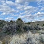 Thumbnail of 15.84 Acres in GOLD NOTE CANYON, HIDDEN TREASURE #1, SUR 2097 – A PATENTED MINING CLAIM -PAST PRODUCER OF GOLD, SILVER & ZINC Photo 14