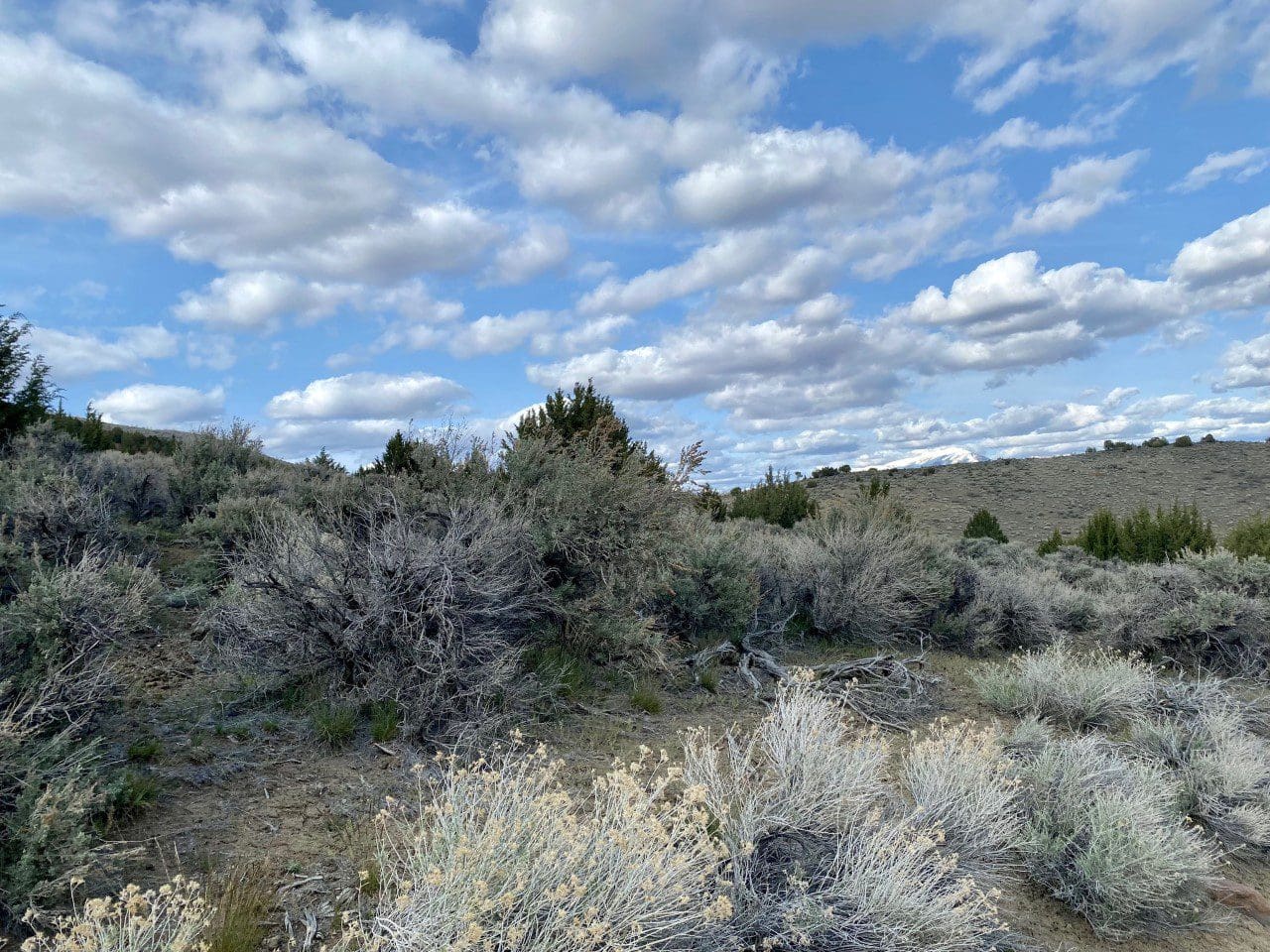 15.84 Acres in GOLD NOTE CANYON, HIDDEN TREASURE #1, SUR 2097 – A PATENTED MINING CLAIM -PAST PRODUCER OF GOLD, SILVER & ZINC photo 14