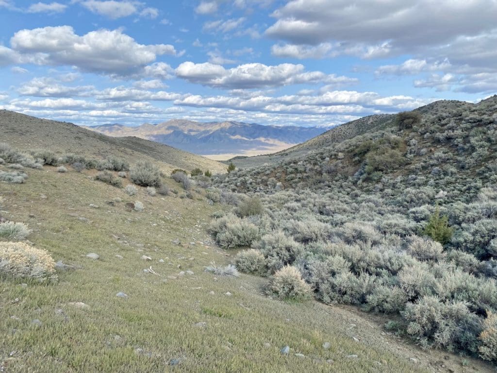 Large view of 15.84 Acres in GOLD NOTE CANYON, HIDDEN TREASURE #1, SUR 2097 – A PATENTED MINING CLAIM -PAST PRODUCER OF GOLD, SILVER & ZINC Photo 1
