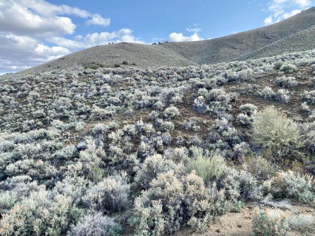 Large view of 15.84 Acres in GOLD NOTE CANYON, HIDDEN TREASURE #1, SUR 2097 – A PATENTED MINING CLAIM -PAST PRODUCER OF GOLD, SILVER & ZINC Photo 61