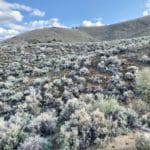 Thumbnail of 15.84 Acres in GOLD NOTE CANYON, HIDDEN TREASURE #1, SUR 2097 – A PATENTED MINING CLAIM -PAST PRODUCER OF GOLD, SILVER & ZINC Photo 61