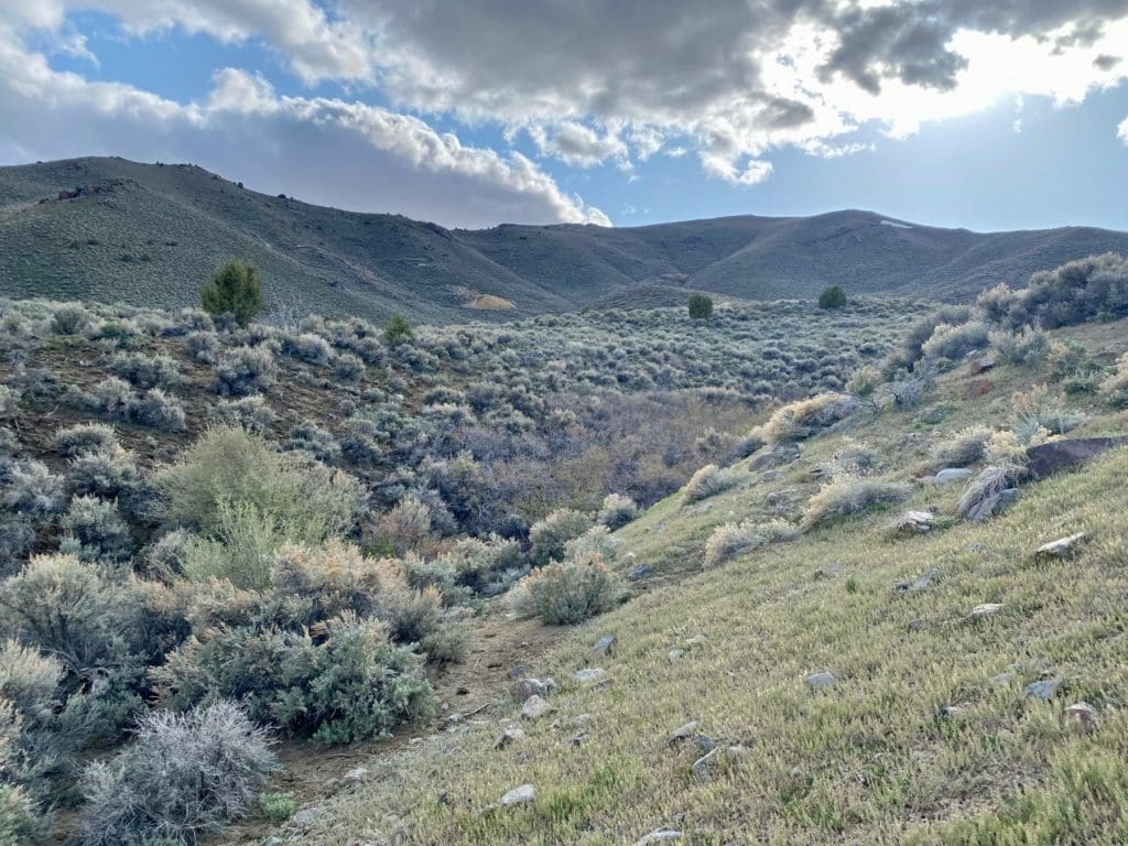Large view of 15.84 Acres in GOLD NOTE CANYON, HIDDEN TREASURE #1, SUR 2097 – A PATENTED MINING CLAIM -PAST PRODUCER OF GOLD, SILVER & ZINC Photo 32