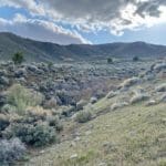 Thumbnail of 15.84 Acres in GOLD NOTE CANYON, HIDDEN TREASURE #1, SUR 2097 – A PATENTED MINING CLAIM -PAST PRODUCER OF GOLD, SILVER & ZINC Photo 32