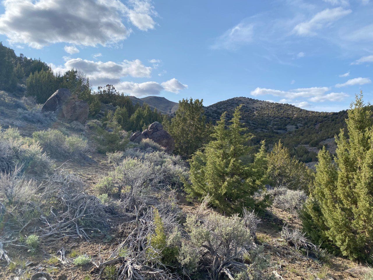 15.84 Acres in GOLD NOTE CANYON, HIDDEN TREASURE #1, SUR 2097 – A PATENTED MINING CLAIM -PAST PRODUCER OF GOLD, SILVER & ZINC photo 20