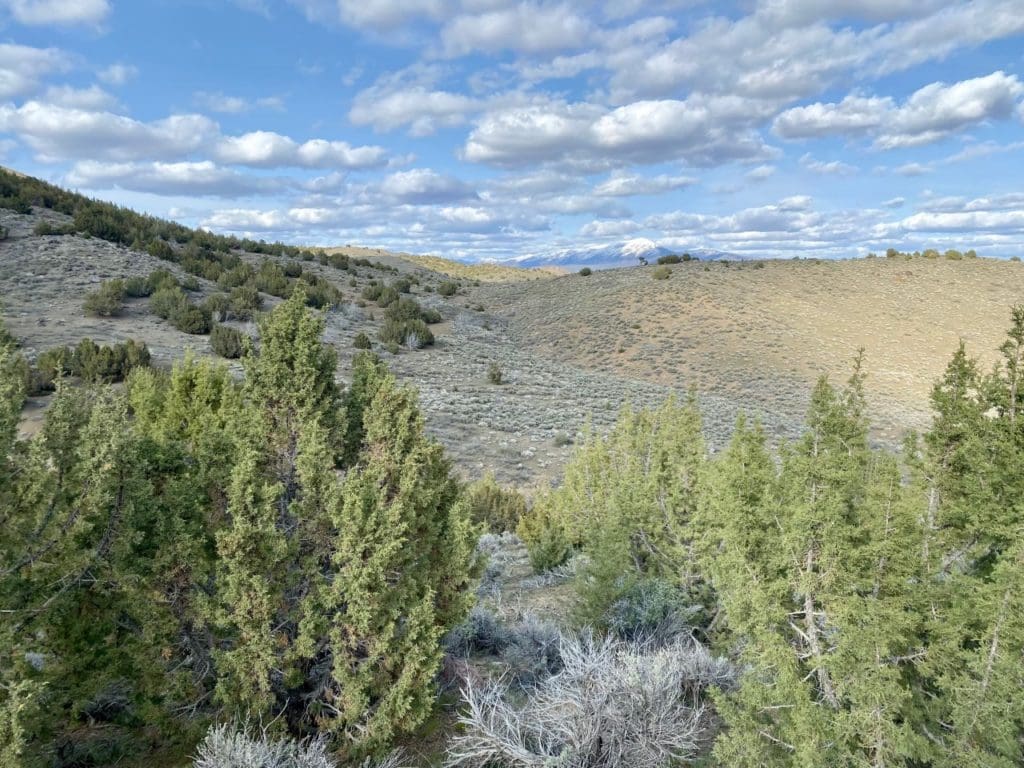 Large view of 15.84 Acres in GOLD NOTE CANYON, HIDDEN TREASURE #1, SUR 2097 – A PATENTED MINING CLAIM -PAST PRODUCER OF GOLD, SILVER & ZINC Photo 44