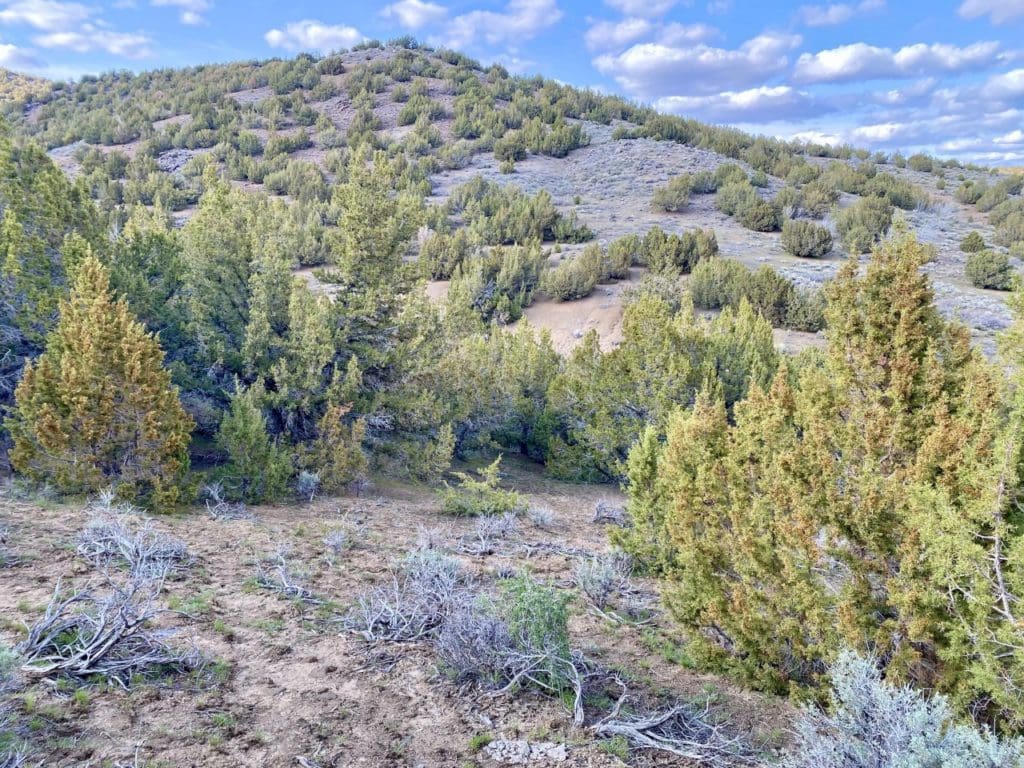 Large view of 15.84 Acres in GOLD NOTE CANYON, HIDDEN TREASURE #1, SUR 2097 – A PATENTED MINING CLAIM -PAST PRODUCER OF GOLD, SILVER & ZINC Photo 6