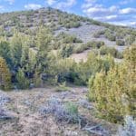 Thumbnail of 15.84 Acres in GOLD NOTE CANYON, HIDDEN TREASURE #1, SUR 2097 – A PATENTED MINING CLAIM -PAST PRODUCER OF GOLD, SILVER & ZINC Photo 6