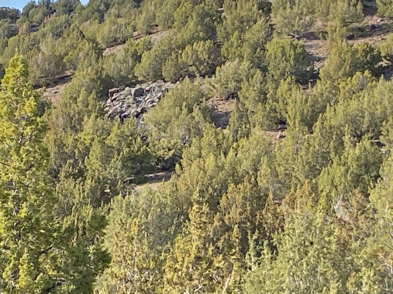 15.84 Acres in GOLD NOTE CANYON, HIDDEN TREASURE #1, SUR 2097 – A PATENTED MINING CLAIM -PAST PRODUCER OF GOLD, SILVER & ZINC photo 60