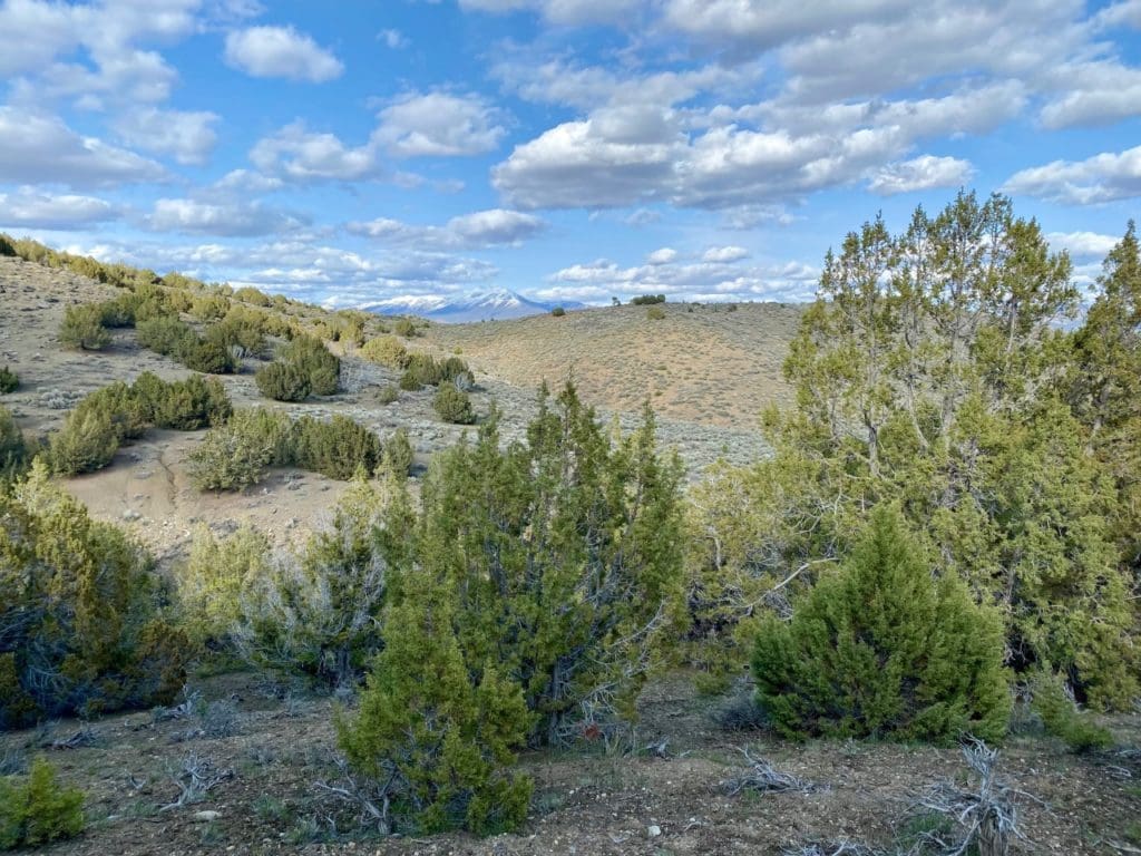 Large view of 15.84 Acres in GOLD NOTE CANYON, HIDDEN TREASURE #1, SUR 2097 – A PATENTED MINING CLAIM -PAST PRODUCER OF GOLD, SILVER & ZINC Photo 4