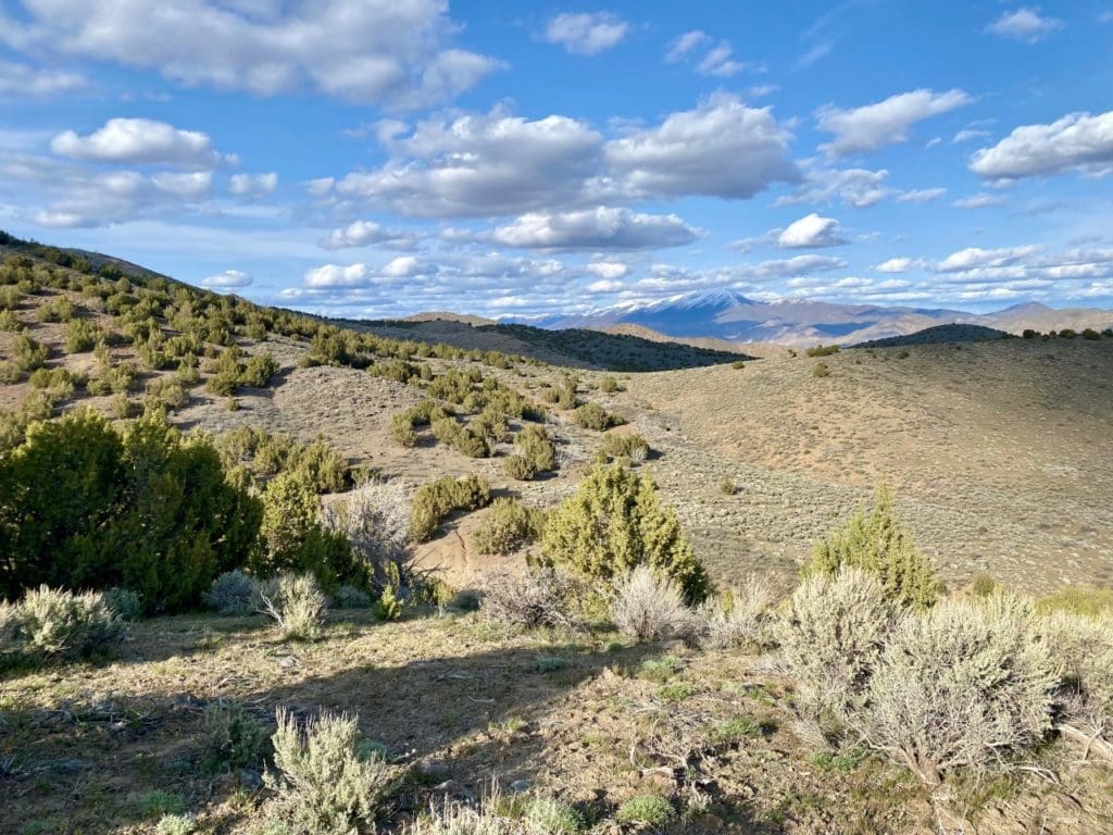 Large view of 15.84 Acres in GOLD NOTE CANYON, HIDDEN TREASURE #1, SUR 2097 – A PATENTED MINING CLAIM -PAST PRODUCER OF GOLD, SILVER & ZINC Photo 55