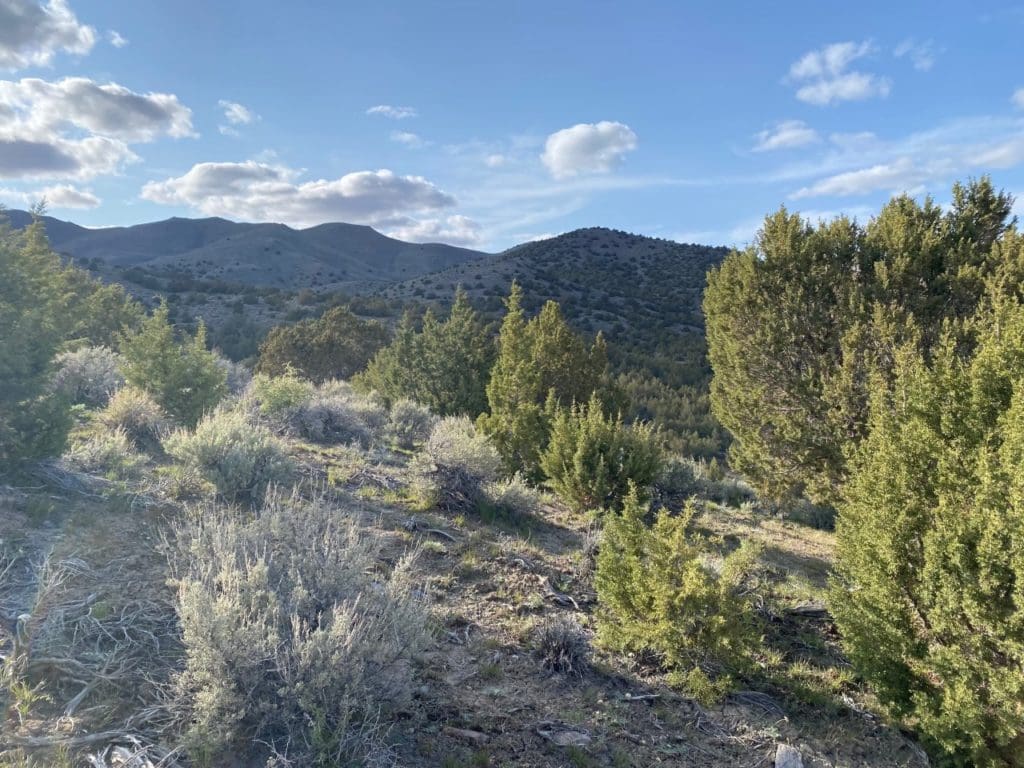 Large view of 15.84 Acres in GOLD NOTE CANYON, HIDDEN TREASURE #1, SUR 2097 – A PATENTED MINING CLAIM -PAST PRODUCER OF GOLD, SILVER & ZINC Photo 53