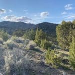 Thumbnail of 15.84 Acres in GOLD NOTE CANYON, HIDDEN TREASURE #1, SUR 2097 – A PATENTED MINING CLAIM -PAST PRODUCER OF GOLD, SILVER & ZINC Photo 53