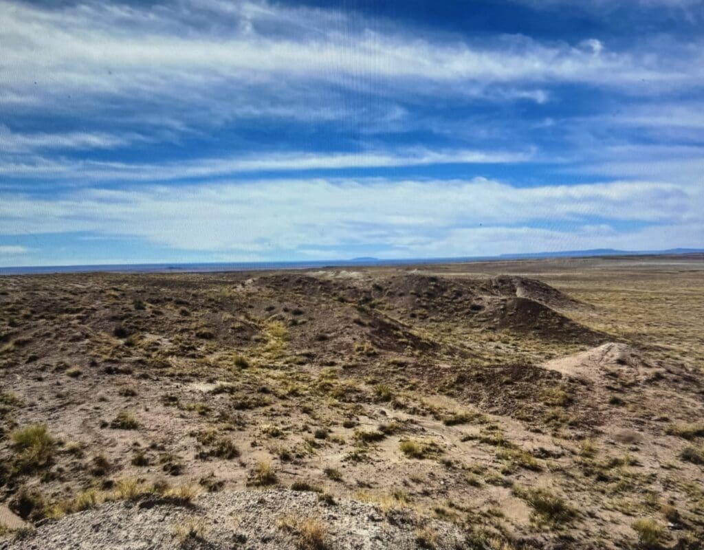 Large view of 10.00 ACRES IN BEAUTIFUL NAVAJO CO, ARIZONA~NEAR PETRIFIED NAT. FOREST Photo 12
