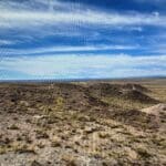 Thumbnail of 10.00 ACRES IN BEAUTIFUL NAVAJO CO, ARIZONA~NEAR PETRIFIED NAT. FOREST Photo 12