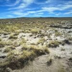 Thumbnail of 10.00 ACRES IN BEAUTIFUL NAVAJO CO, ARIZONA~NEAR PETRIFIED NAT. FOREST Photo 10