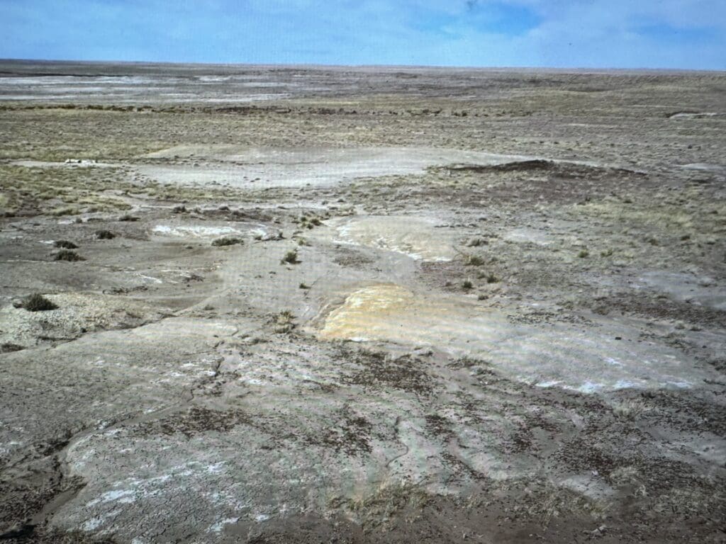 Large view of 10.00 ACRES IN BEAUTIFUL NAVAJO CO, ARIZONA~NEAR PETRIFIED NAT. FOREST Photo 8