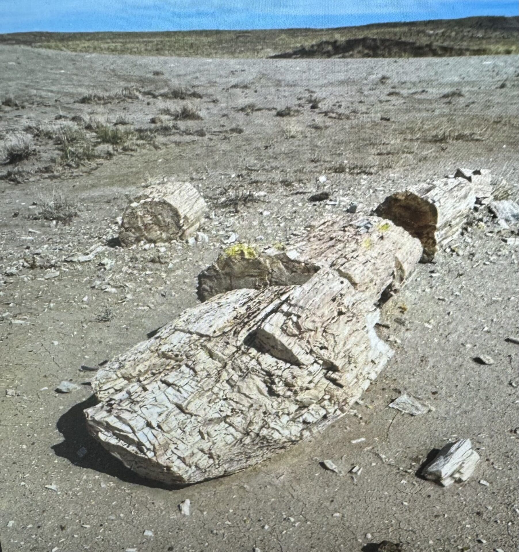 10.00 ACRES IN BEAUTIFUL NAVAJO CO, ARIZONA~NEAR PETRIFIED NAT. FOREST photo 7