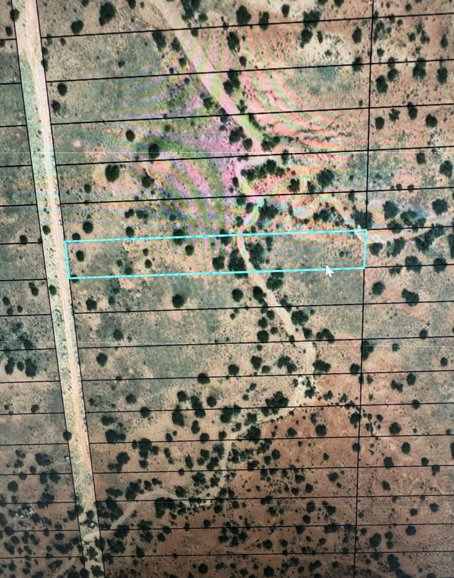 1.18 BEAUTIFUL ACRES OUTSIDE SNOWFLAKE, ARIZONA SURROUNDED BY PETRIFIED FOREST WITH SEASONAL STREAM photo 1