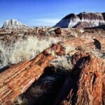 Thumbnail of 1.18 BEAUTIFUL ACRES OUTSIDE SNOWFLAKE, ARIZONA SURROUNDED BY PETRIFIED FOREST WITH SEASONAL STREAM Photo 5