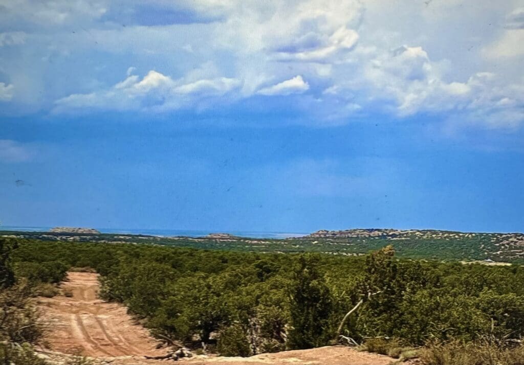 Large view of 1.18 BEAUTIFUL ACRES OUTSIDE SNOWFLAKE, ARIZONA SURROUNDED BY PETRIFIED FOREST WITH SEASONAL STREAM Photo 10