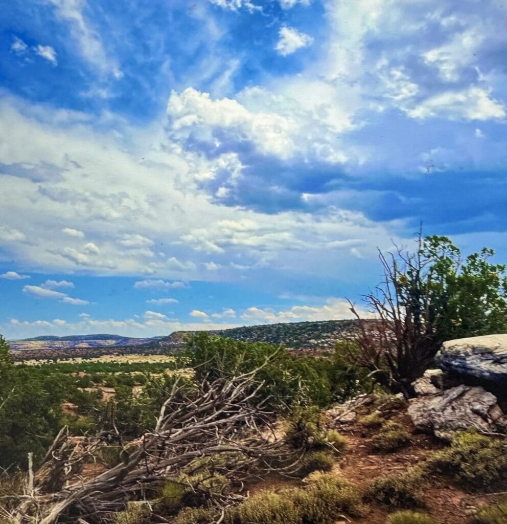Large view of 1.18 BEAUTIFUL ACRES OUTSIDE SNOWFLAKE, ARIZONA SURROUNDED BY PETRIFIED FOREST WITH SEASONAL STREAM Photo 7
