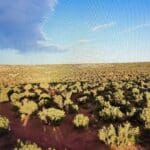 Thumbnail of 1.18 BEAUTIFUL ACRES OUTSIDE SNOWFLAKE, ARIZONA SURROUNDED BY PETRIFIED FOREST WITH SEASONAL STREAM Photo 9