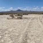 Thumbnail of Large 160 Acre Remote Nevada Ranch Land Near California Border Photo 8