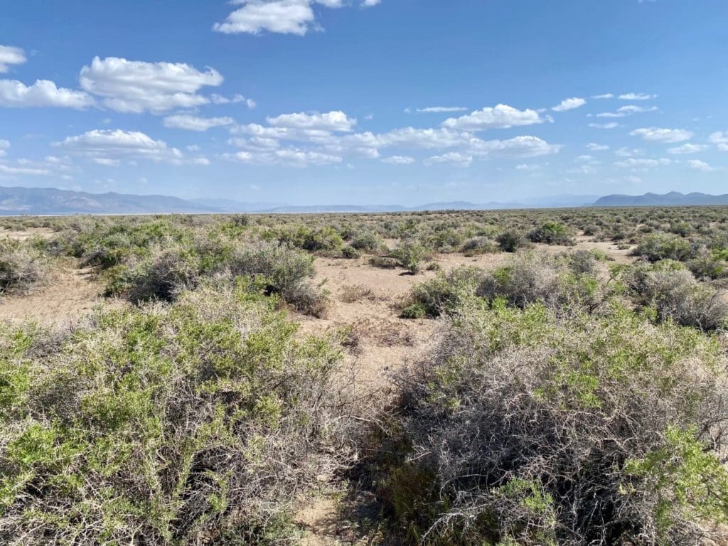 Large view of Large 160 Acre Remote Nevada Ranch Land Near California Border Photo 5
