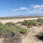 Thumbnail of Large 160 Acre Remote Nevada Ranch Land Near California Border Photo 24
